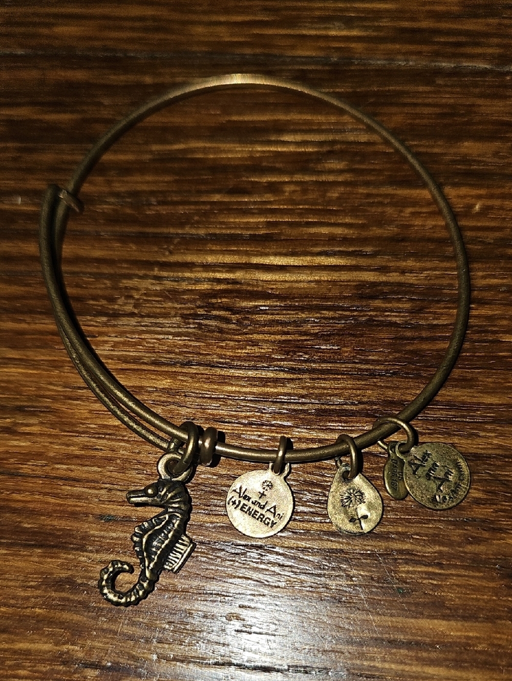Alex and Ani Bronze Seahorse Charm Expandable Bracelet